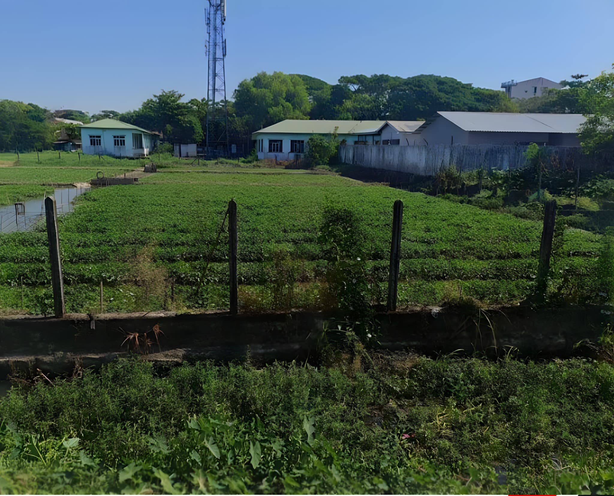 Fields surrounding the 13 Stories Condominium site