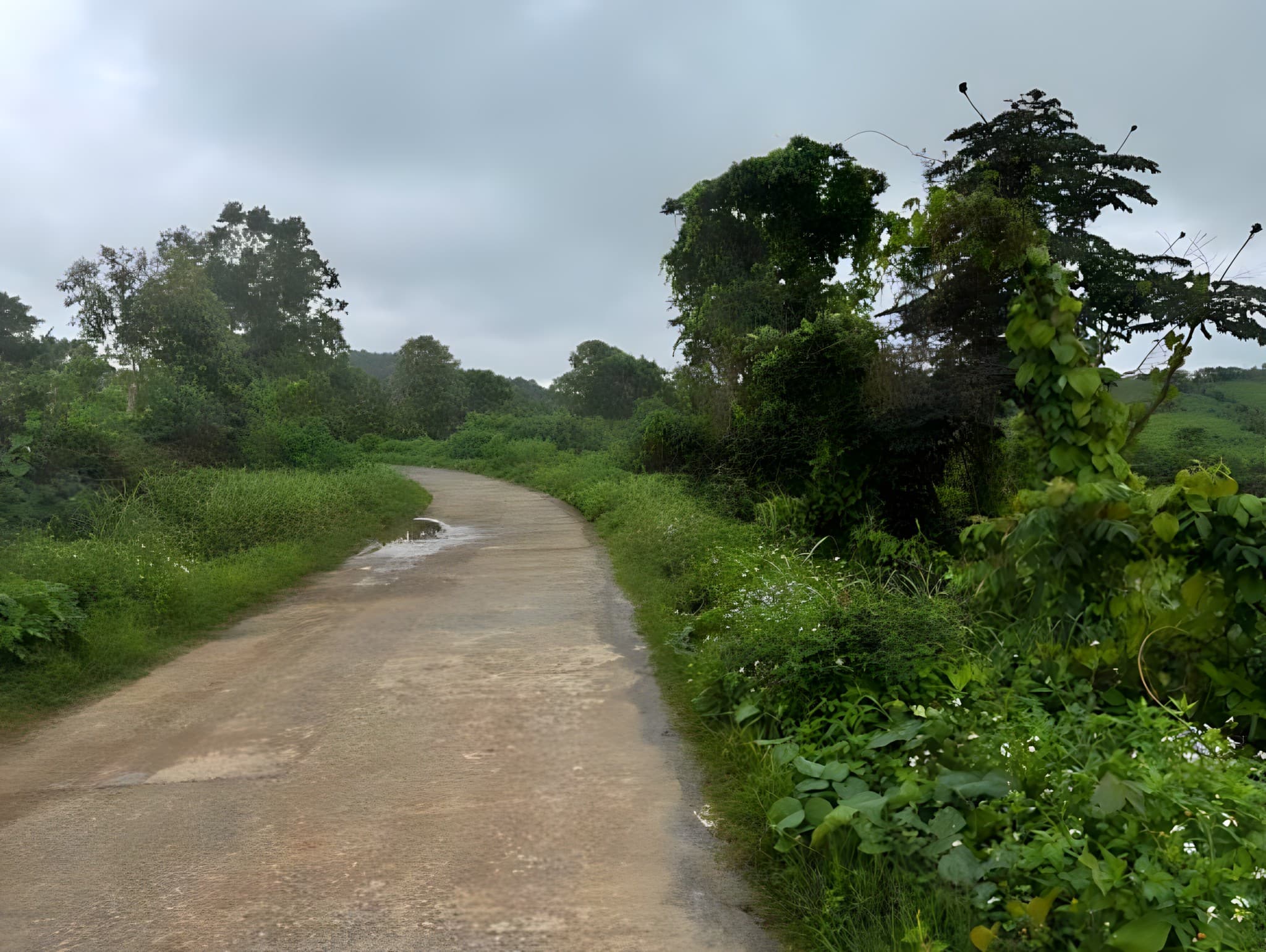 Road leading to the Nyaung Ni project site