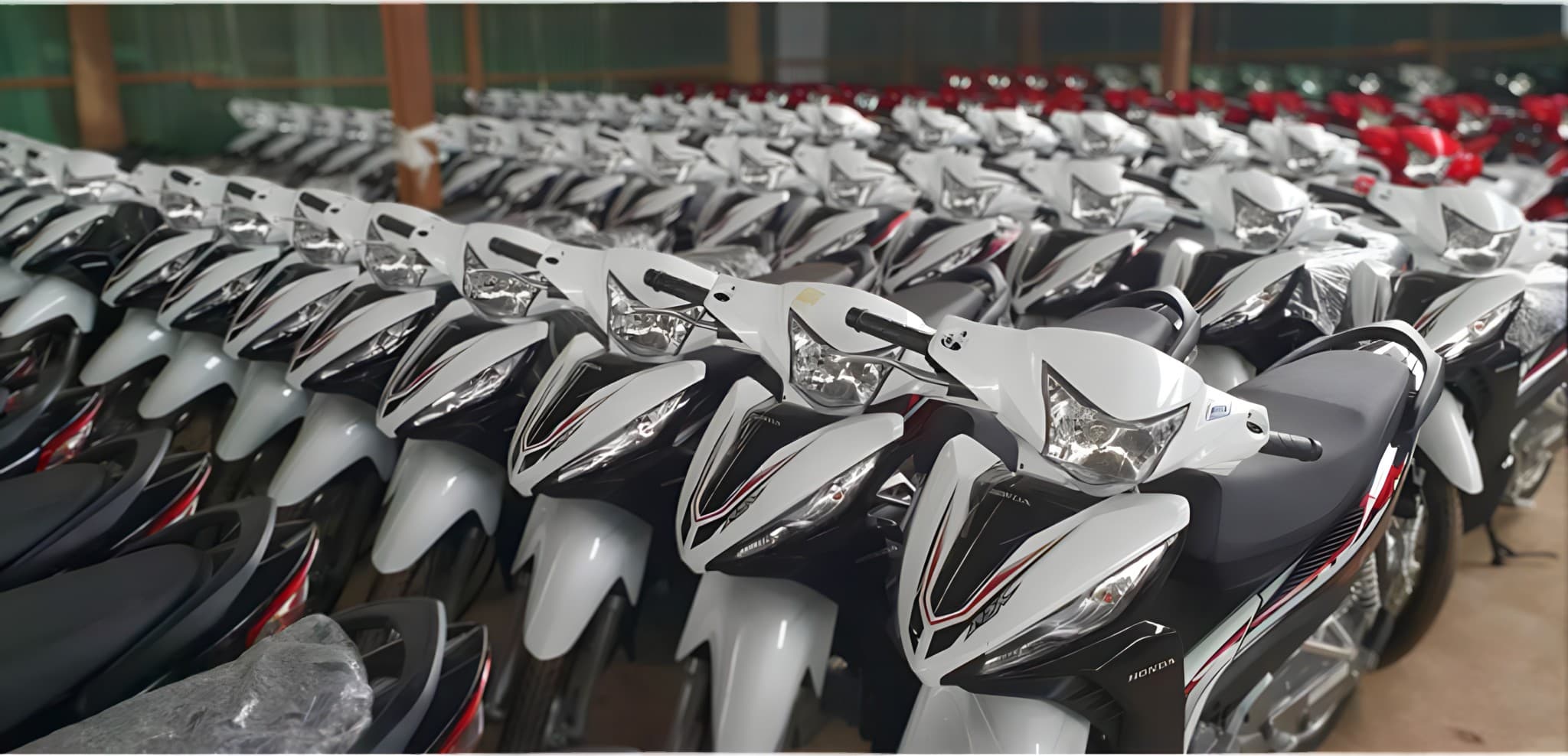 Rows of new motorcycles ready for distribution